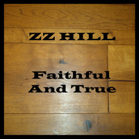 Zz hill down home blues mp3 download full